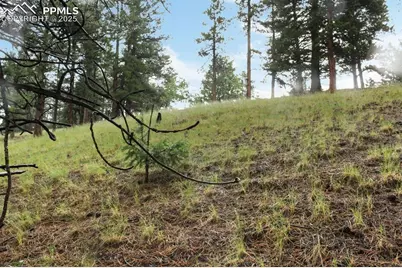 131 Lost Lake Circle, Divide, CO 80814 - Photo 16