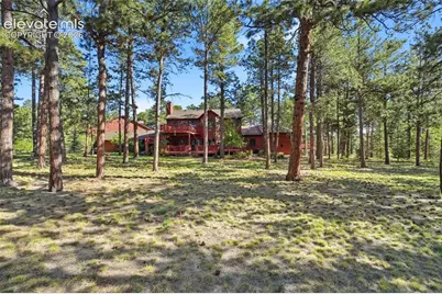 17675 Charter Pines Drive, Monument, CO 80132 - Photo 46