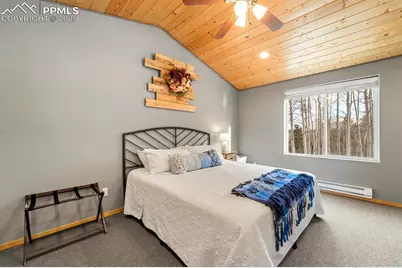 263 Wakanda Trail, Woodland Park, CO 80863 - Photo 6