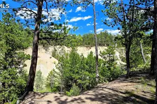 11785 Milam Rd, Colorado Springs, CO 80908 - Photo 12