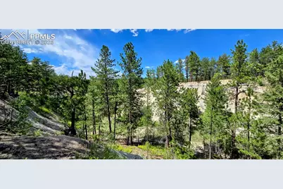 11785 Milam Road, Colorado Springs, CO 80908 - Photo 14