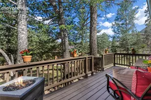 9120 Ute Rd, Cascade, CO 80809 - Photo 10