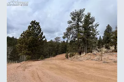 351 Dandy Jim Drive, Cripple Creek, CO 80813 - Photo 1