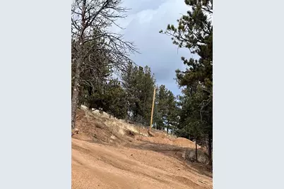 351 Dandy Jim Drive, Cripple Creek, CO 80813 - Photo 8