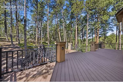 15954 Backwoods Court, Colorado Springs, CO 80921 - Photo 42