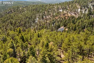 2255 Elk Park Rd, Larkspur, CO 80118 - Photo 12