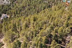 2255 Elk Park Rd, Larkspur, CO 80118 - Photo 10