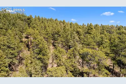 2255 Elk Park Road, Larkspur, CO 80118 - Photo 16
