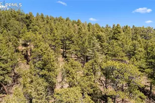 2255 Elk Park Rd, Larkspur, CO 80118 - Photo 16