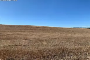 16750 Early Lgt Dr, Colorado Springs, CO 80908 - Photo 10