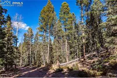 Tbd Arrowhead Road, Florissant, CO 80816 - Photo 6