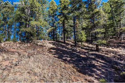 Tbd Arrowhead Road, Florissant, CO 80816 - Photo 14
