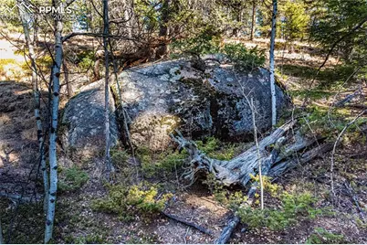 Tbd Arrowhead Road, Florissant, CO 80816 - Photo 4