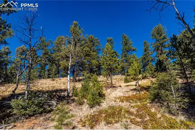 Tbd Arrowhead Road, Florissant, CO 80816 - Photo 8
