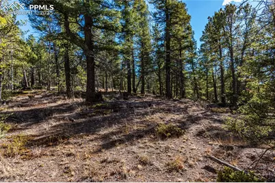 Tbd Arrowhead Road, Florissant, CO 80816 - Photo 26
