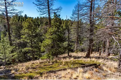 Tbd Arrowhead Road, Florissant, CO 80816 - Photo 30