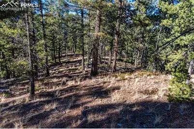 Tbd Arrowhead Road, Florissant, CO 80816 - Photo 10