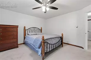 1113 Browning Ave, Woodland Park, CO 80863 - Photo 20
