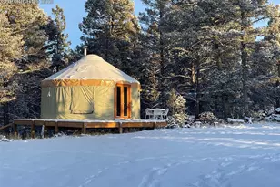 247 Pinewood Rd, Florissant, CO 80816 - Photo 10