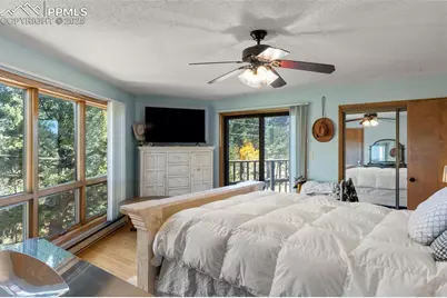 247 Pinewood Road, Florissant, CO 80816 - Photo 18