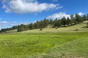 247 Pinewood Rd, Florissant, CO 80816 - Photo 20