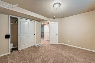 6668 Dark Oak View, Colorado Springs, CO 80923 - Photo 20