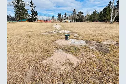 799 Elfin Glen Drive, Divide, CO 80814 - Photo 8