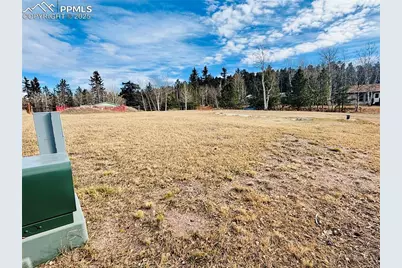 799 Elfin Glen Drive, Divide, CO 80814 - Photo 6