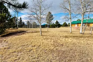 799 Elfin Glen Dr, Divide, CO 80814 - Photo 1