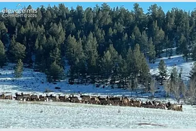 20400 Highway 285, Fairplay, CO 80440 - Photo 4