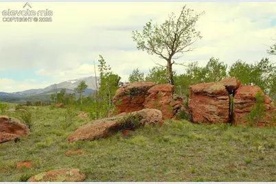 20400 Highway 285, Fairplay, CO 80440 - Photo 14