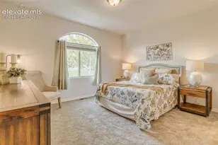 7543 Bandana Way, Colorado Springs, CO 80923 - Photo 14