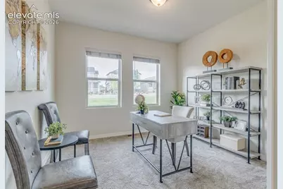 7543 Bandana Way, Colorado Springs, CO 80923 - Photo 6