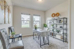 7543 Bandana Way, Colorado Springs, CO 80923 - Photo 6
