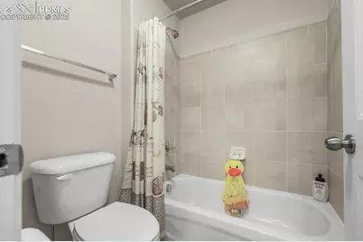 8294 Thedford Court, Peyton, CO 80831 - Photo 42