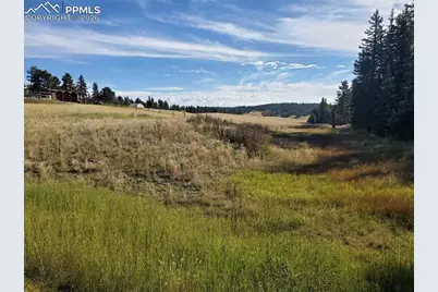 309 Pinaceae Heights, Divide, CO 80814 - Photo 10