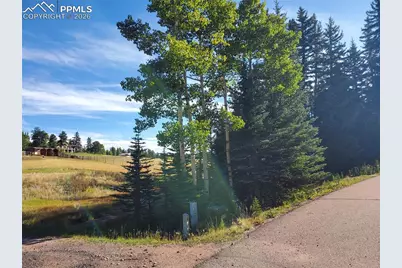 309 Pinaceae Heights, Divide, CO 80814 - Photo 14