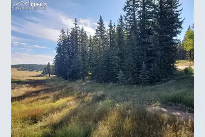 309 Pinaceae Heights, Divide, CO 80814 - Photo 8