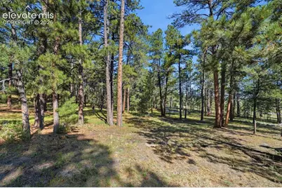 20470 Lockridge Drive, Colorado Springs, CO 80908 - Photo 46