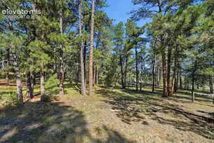 20470 Lockridge Dr, Colorado Springs, CO 80908 - Photo 46
