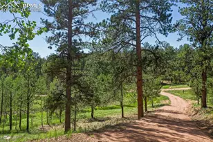 34 Piute Cir, Florissant, CO 80816 - Photo 48