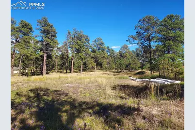 13395 Frank Road, Colorado Springs, CO 80908 - Photo 1