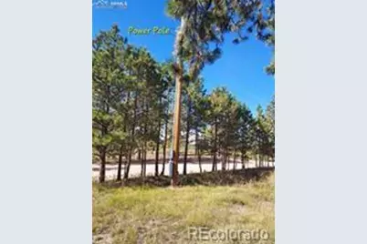 13395 Frank Road, Colorado Springs, CO 80908 - Photo 12