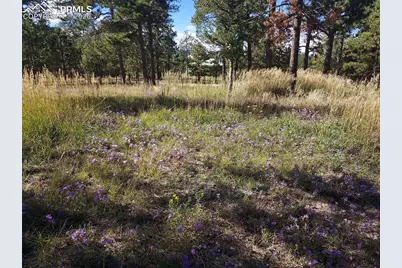 13395 Frank Road, Colorado Springs, CO 80908 - Photo 2