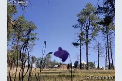 13395 Frank Road, Colorado Springs, CO 80908 - Photo 14