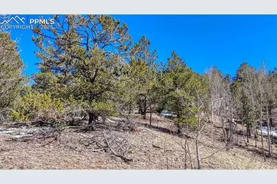 513 Last Dollar Drive, Cripple Creek, CO 80813 - Photo 16
