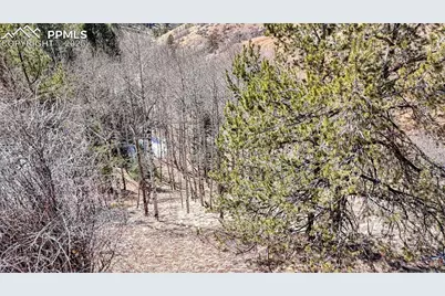 513 Last Dollar Drive, Cripple Creek, CO 80813 - Photo 12