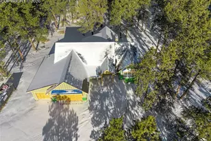 10697 Alamar Wy, Colorado Springs, CO 80908 - Photo 4