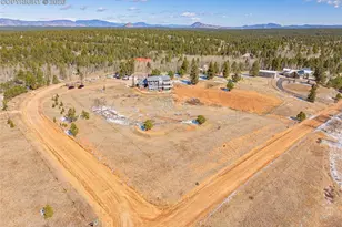 78 Moss Rock Ct, Divide, CO 80814 - Photo 42