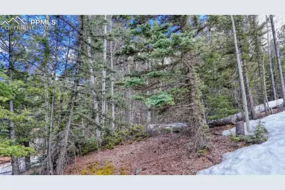 244 Spring Valley Lane, Florissant, CO 80816 - Photo 16